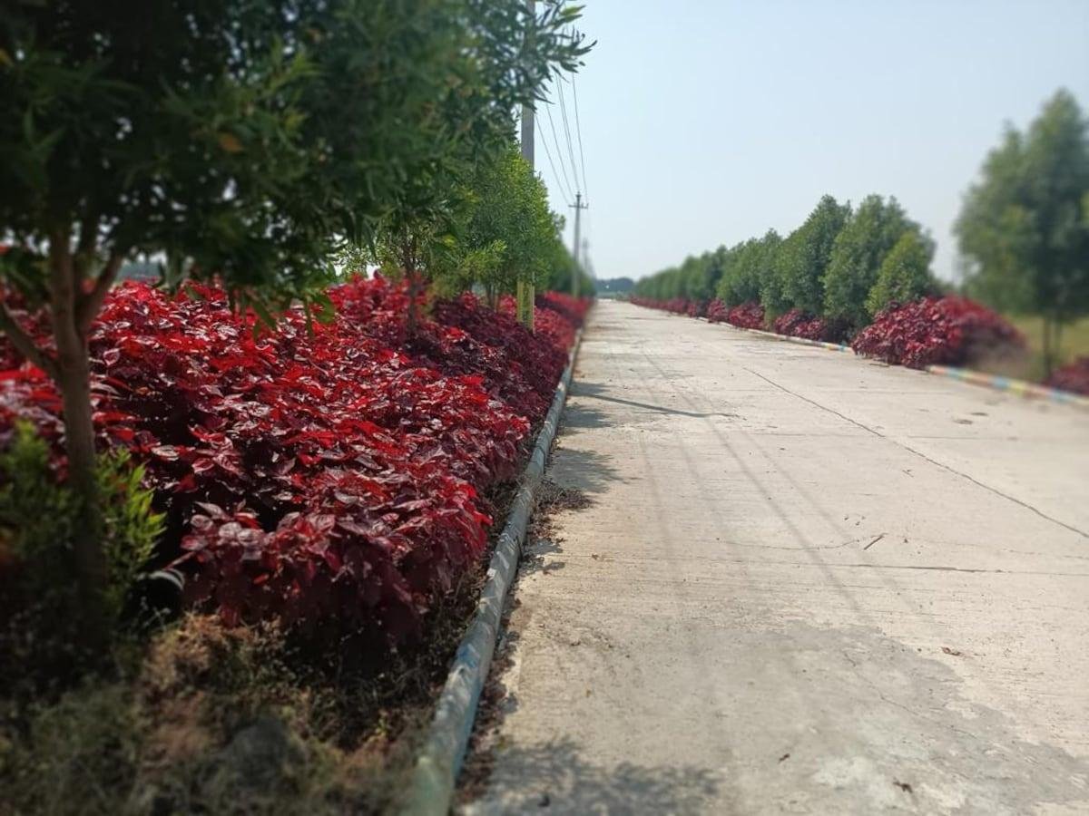 267 Sq.Yd. Plot for Sale  in Kadthal Hyderabad