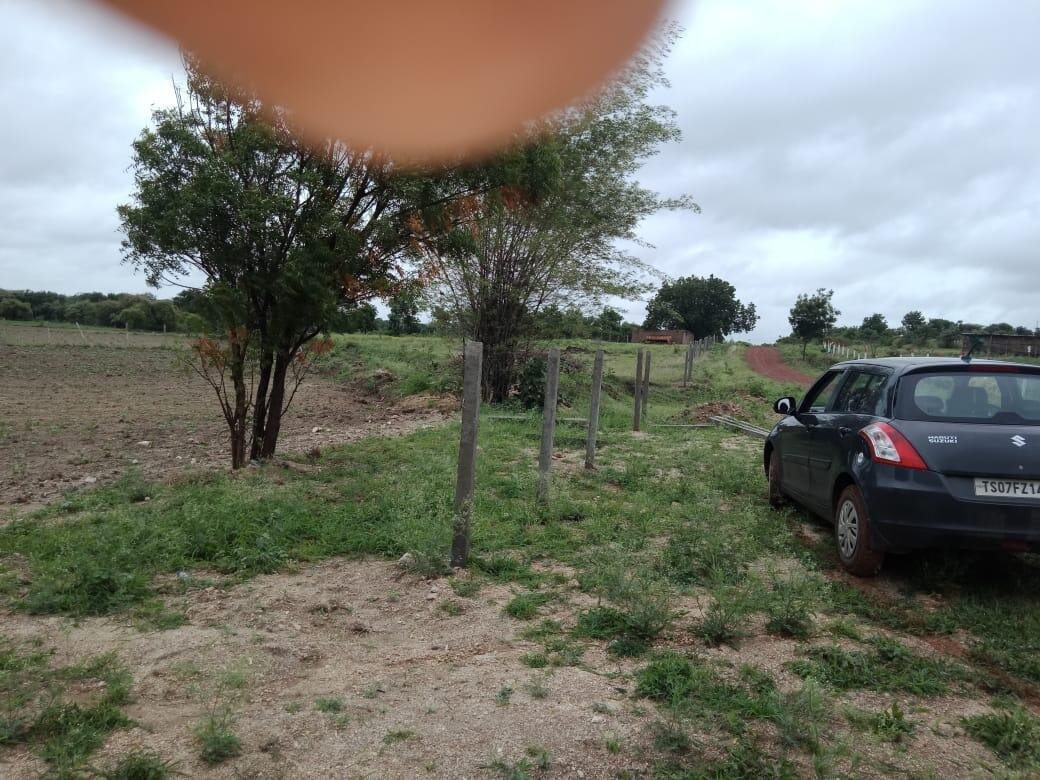 Commercial Land/Inst. Land for Sale in Shankarpally, Hyderabad
