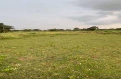 Commercial Land For Sale in Shabad, Hyderabad