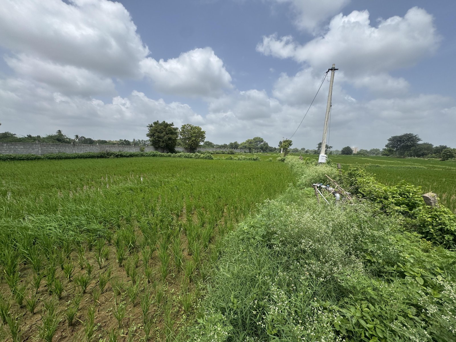 Commercial Land/Inst. Land for Sale in Patancheru, Hyderabad