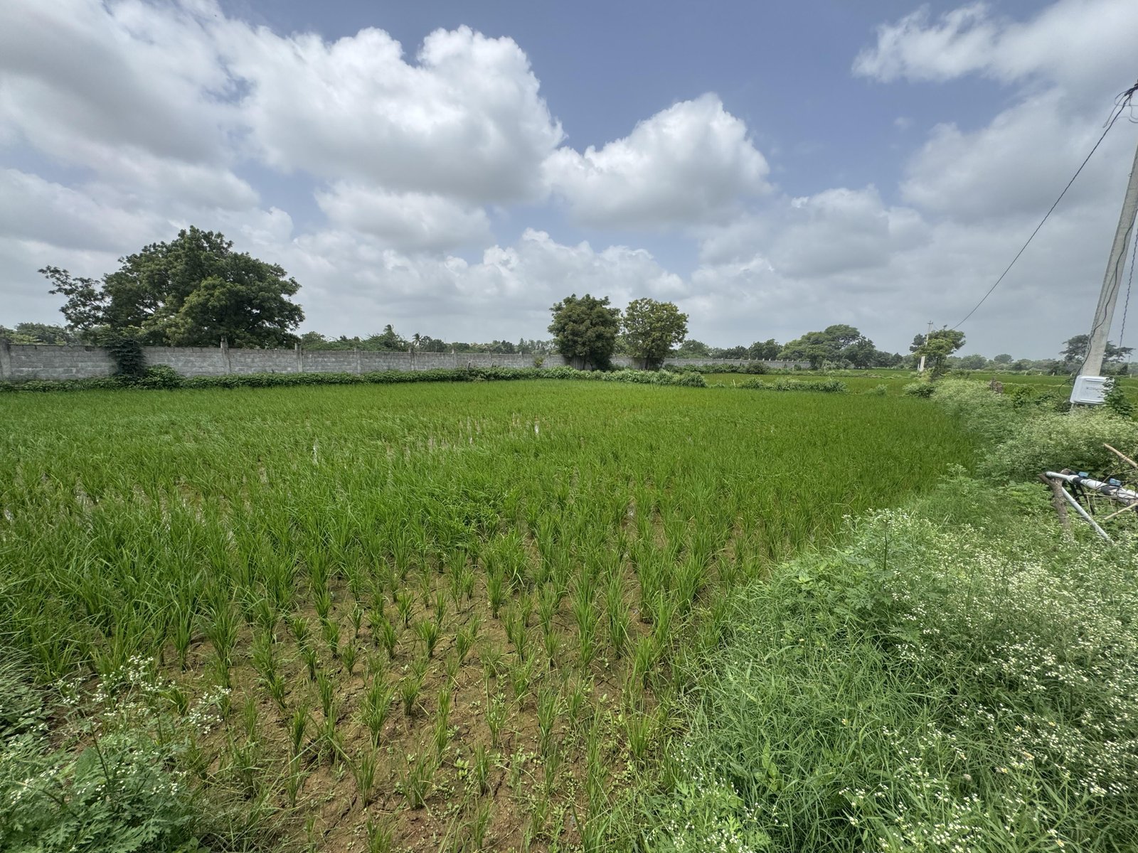 Commercial Land/Inst. Land for Sale in Patancheru, Hyderabad