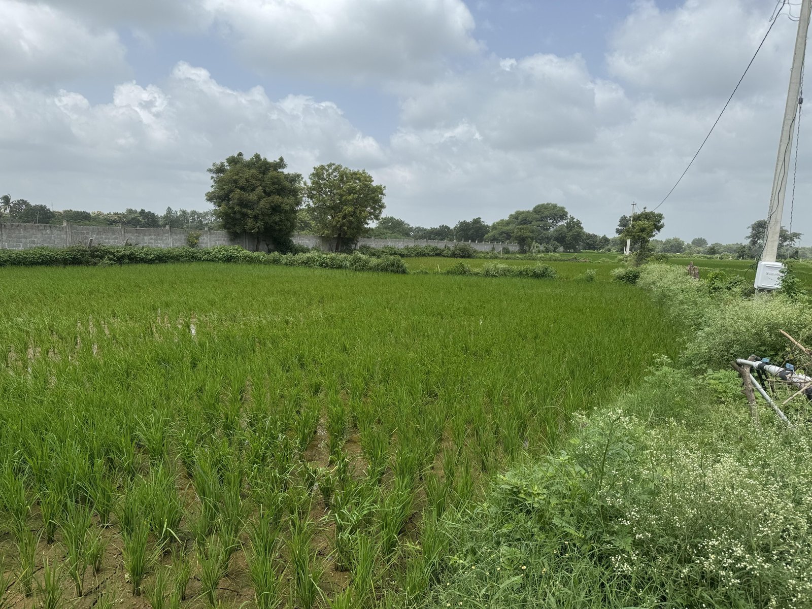 Commercial Land/Inst. Land for Sale in Patancheru, Hyderabad