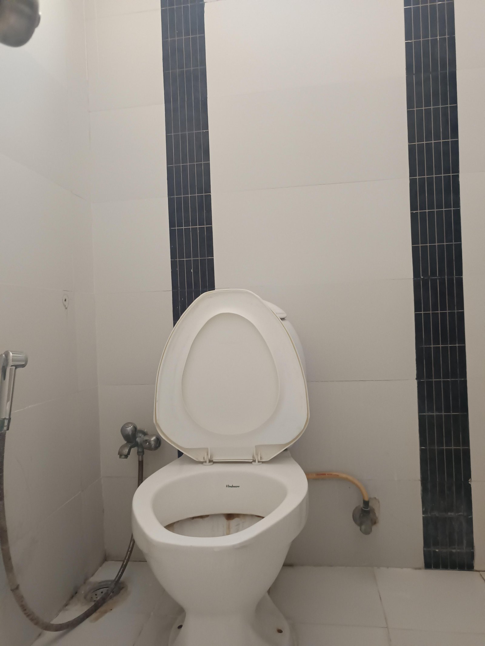 3BHK 3Baths Flat for Rent in Manjeera Diamond Towers, Gopanpally, Hyderabad