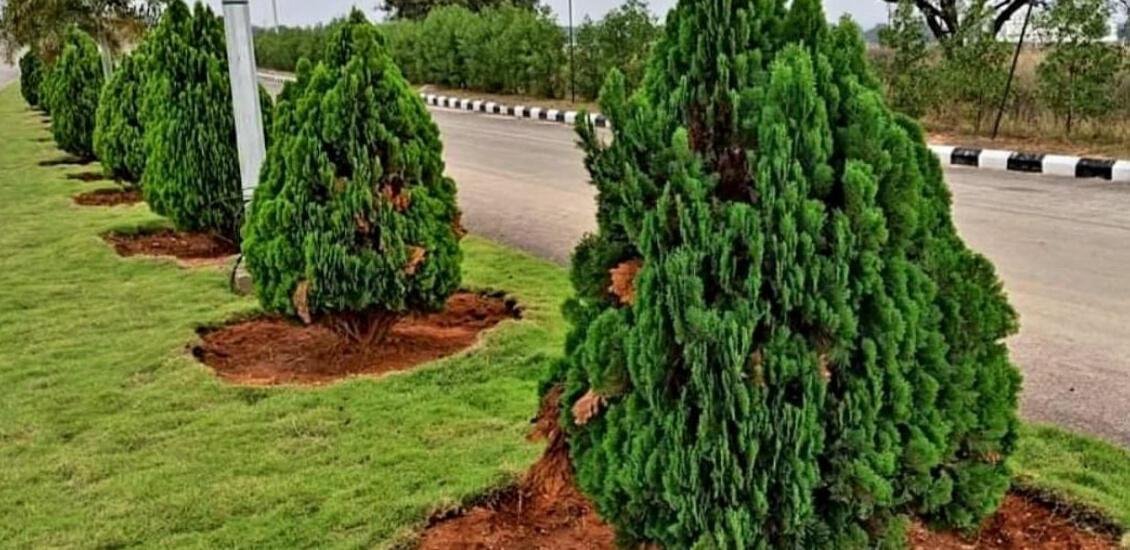 Residential Land/Plot for Sale in nature valley, Vijayawada Highway, Hyderabad