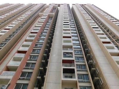 2 BHK Flat 1115 Sq-ft For Rent in Kondapur, Hyderabad
