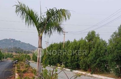 Plot For Sale In Divine Meadows In L B Nagar uppal rd near lb nagar police station