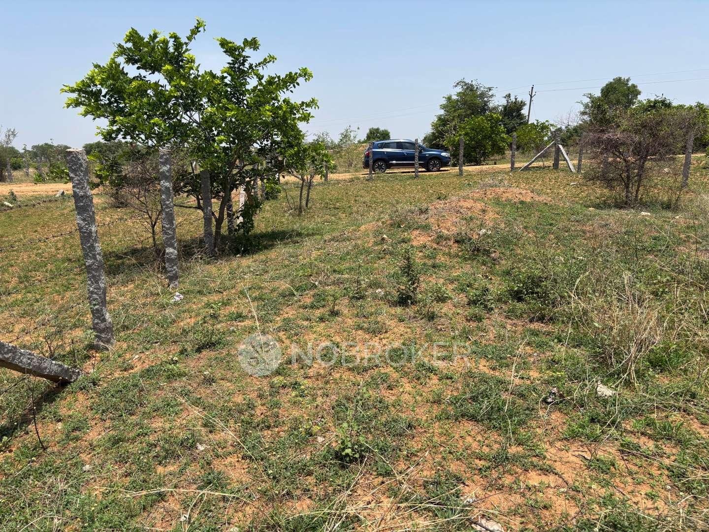 Plot For Sale In Maathru Bhoomi Developers In Yadagirigutta, Saduvally Gram Panchayat