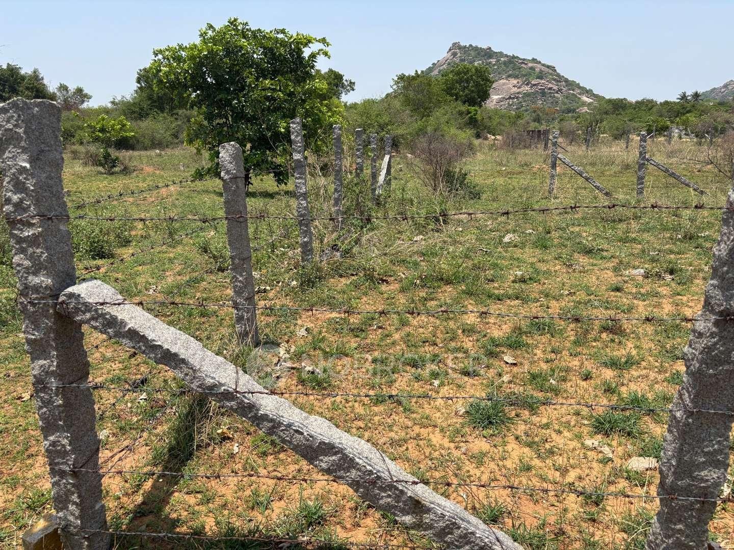 Plot For Sale In Maathru Bhoomi Developers In Yadagirigutta, Saduvally Gram Panchayat