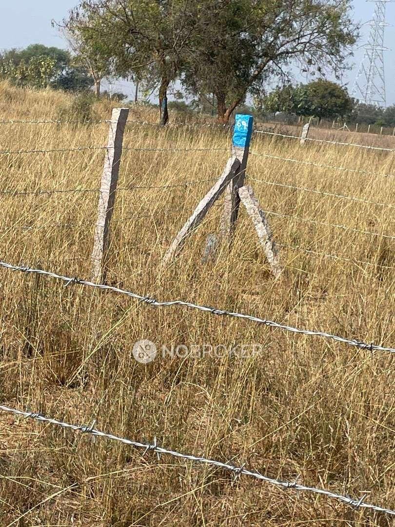 Plot For Sale In Miyapur Pembarthy, Janagaon, Warangal Highway