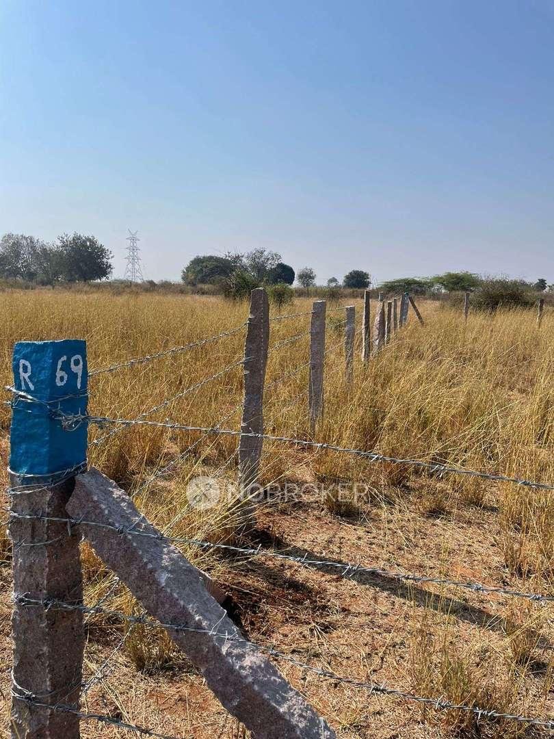 Plot For Sale In Miyapur Pembarthy, Janagaon, Warangal Highway