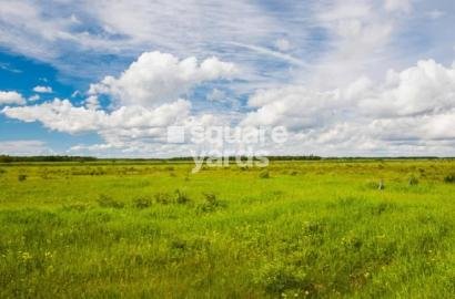 1500 Sq.Ft. Plot For Sale in Peeranchuruvu Hyderabad