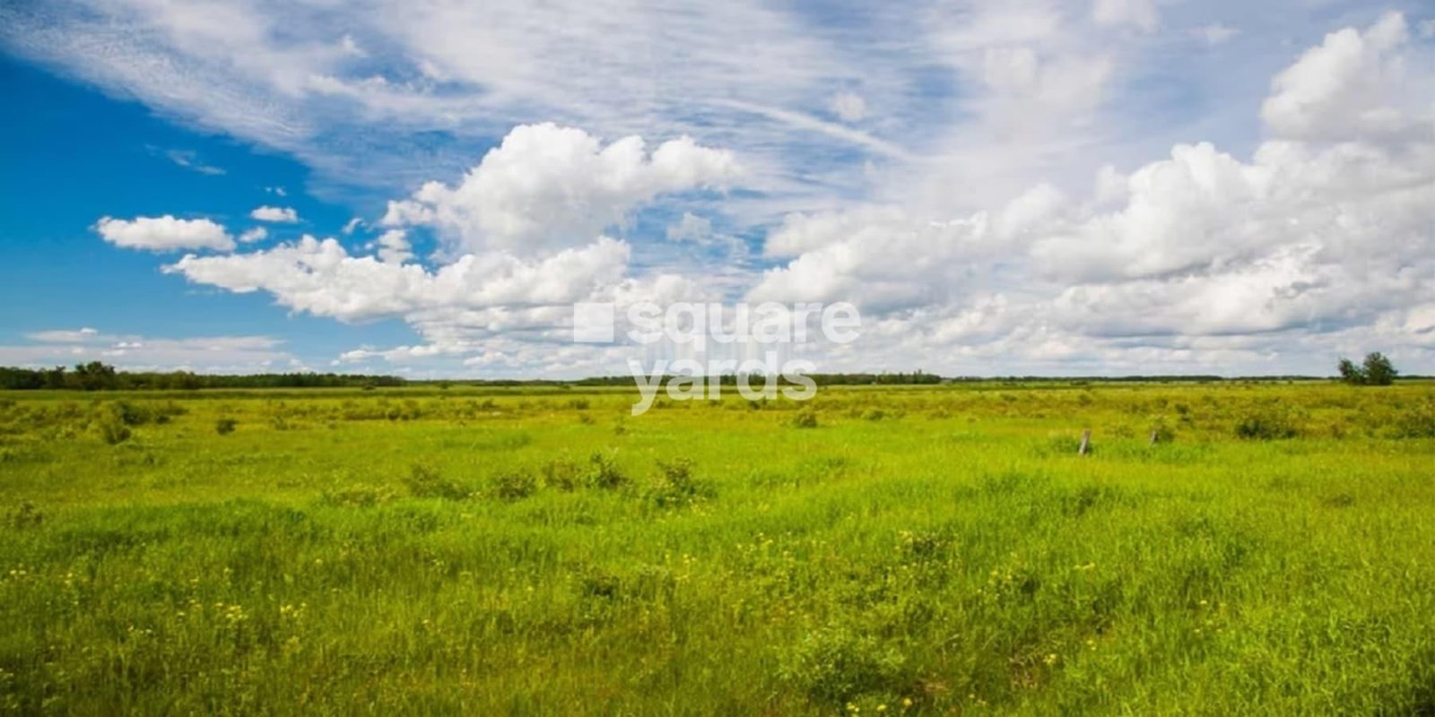 210 Sq.Yd. Plot for Sale in Sangareddy, Hyderabad