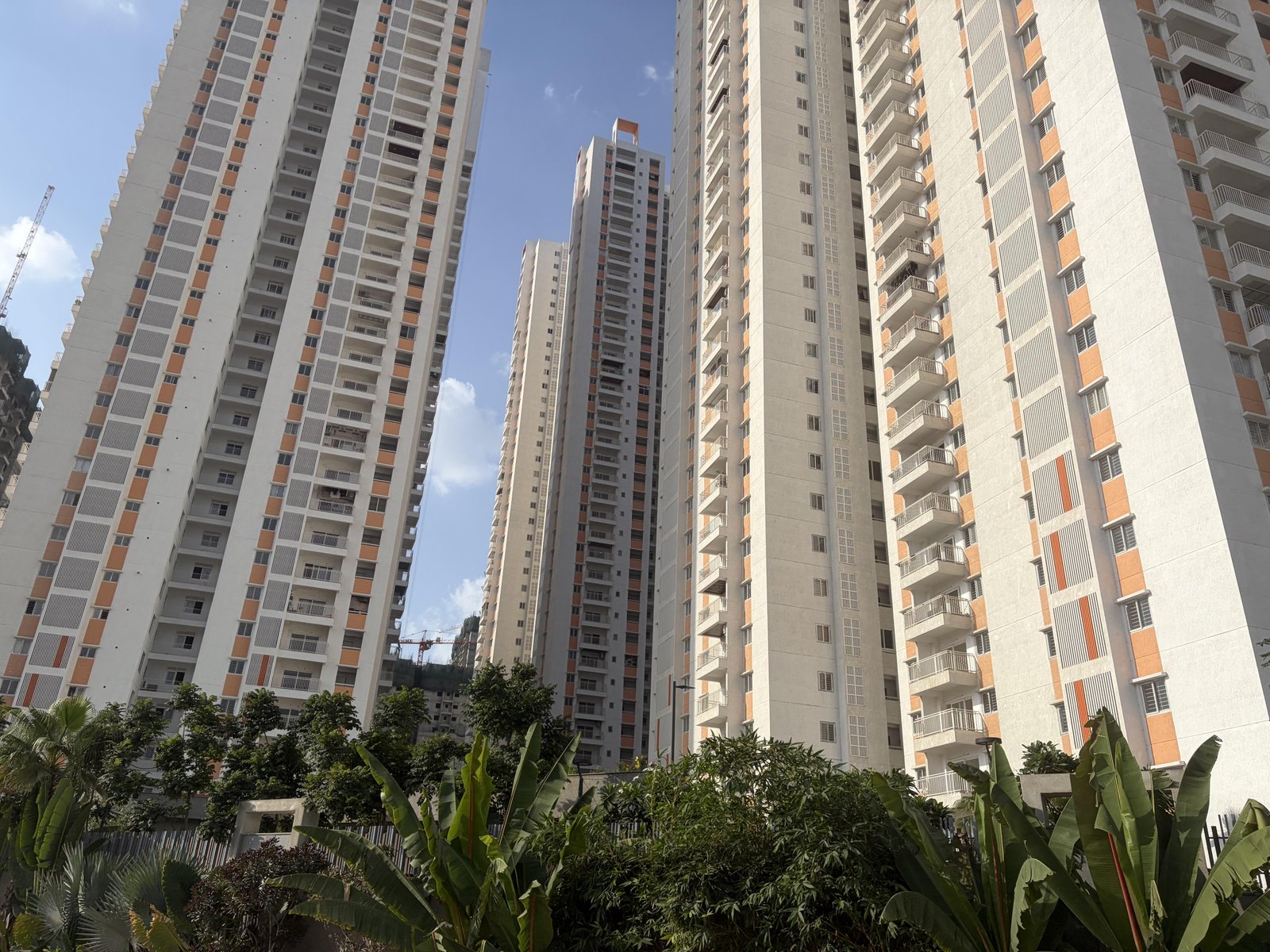 3 BHK Flat for rent in Tellapur, Hyderabad
