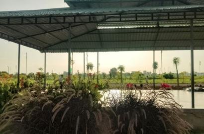 267 Sq.Yd. Plot for Sale  in Kadthal Hyderabad