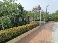 Flat for Rent in Lakshmi Cadillac, Kondapur, Hyderabad