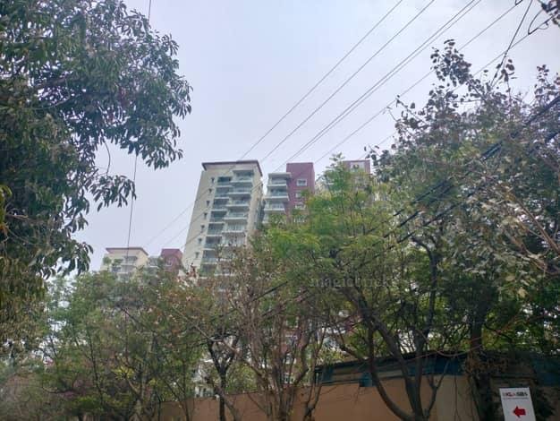 3 BHK 1738 Sq-ft Flat/Apartment For Rent in Prestige Ivy League, Hitech City, Hyderabad