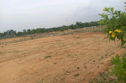 SGD Developers, Nandiwanaparthy, South Hyderabad, Hyderabad